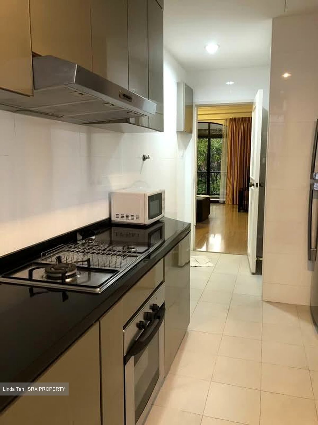 Tanglin Park (D10), Condominium #543588771